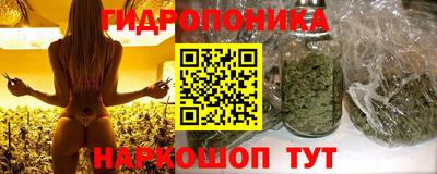 дживик Бийск