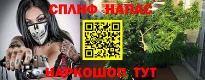 дживик Бийск