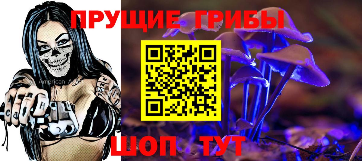 Кашира  Галлюциногенные грибы Magic Shrooms  Вход с VPN 